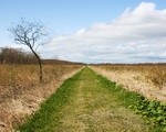 どこまでもまっすぐな道が続く、釧路湿原の探勝歩道を歩いてみた！北海道観光