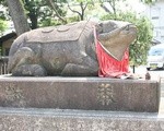 京都北野天満宮のなで牛の意味を知らずに頭を撫でてから10年。