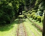 高尾山おすすめ登山コースはケーブルカーで高尾山駅、気軽に歩いて薬王院 有喜寺まで