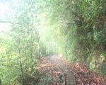 屋久島 縄文杉に行くなら雨の日の翌日の晴れた日に行きたい