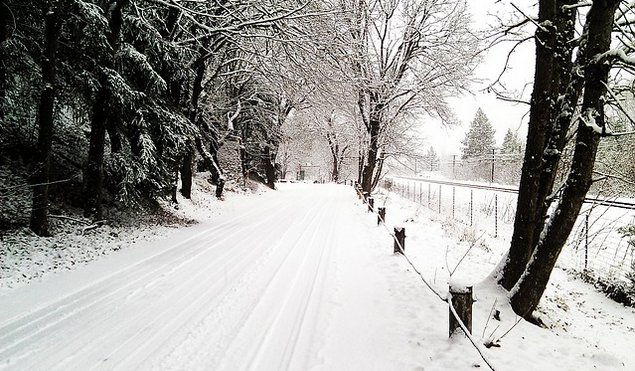 雪道