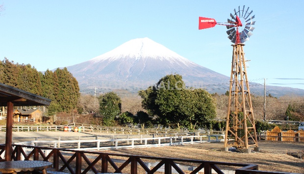 traveljapan