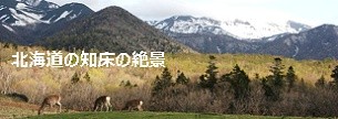 北海道の知床の絶景