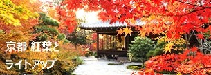 京都 紅葉とライトアップ