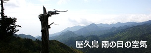 屋久島雨の日の空気