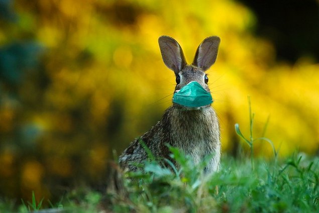 コロナワクチン接種済みとそうでない人のコロナウィルス感染後の後遺症の差