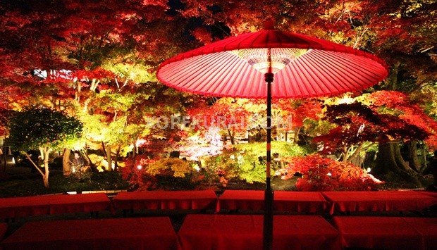 travelkyoto