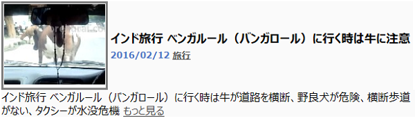 インド旅行　ベンガルールには牛に注意
