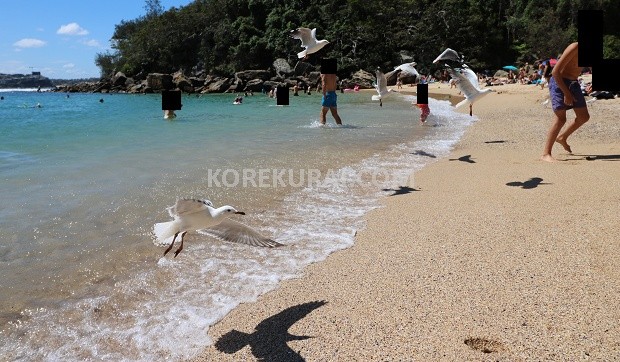travelaustralia