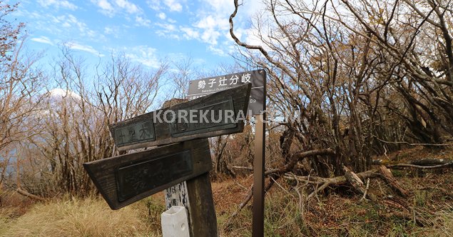 越前岳 山頂手前