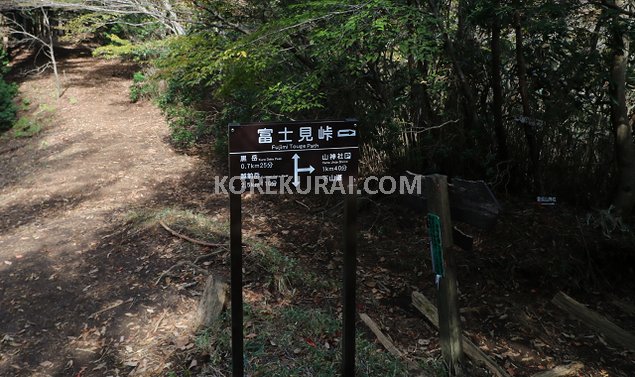 愛鷹山 富士見峠 分岐