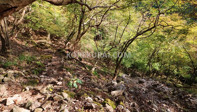 富士見峠～山神社 登山道