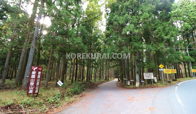 愛鷹山登山道