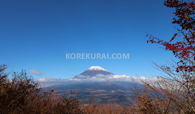 愛鷹山 富士見台 富士山