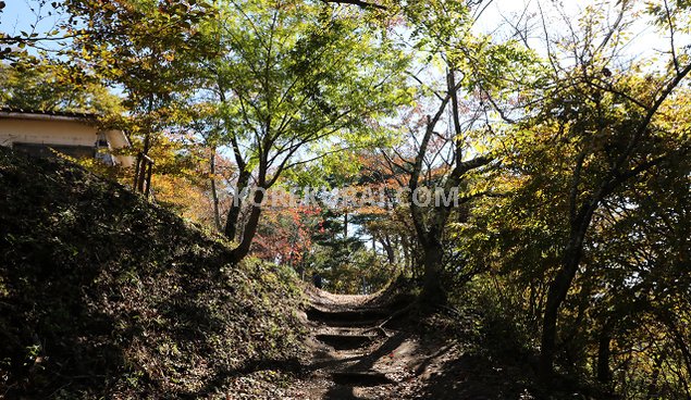 小御嶽神社までの登山道