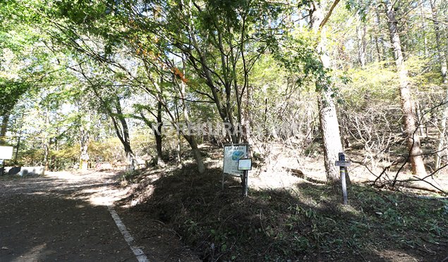 天上山～新倉山 登山道