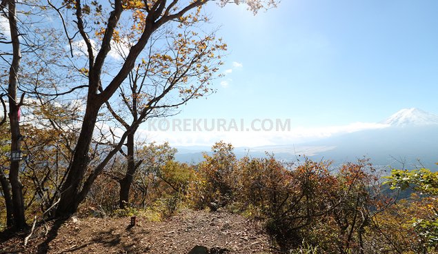 新倉山 看板