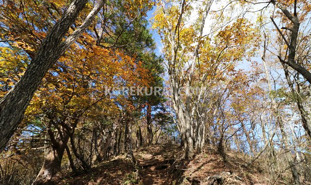 三ツ峠山 登山道 鉄塔～木無山