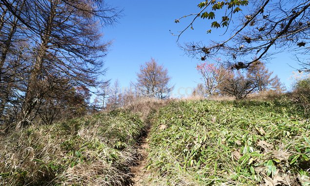 三ツ峠山 登山道 鉄塔～木無山