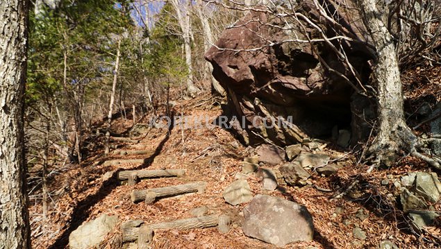 旧御坂峠 登山道