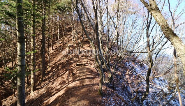 御坂山方面の登山道