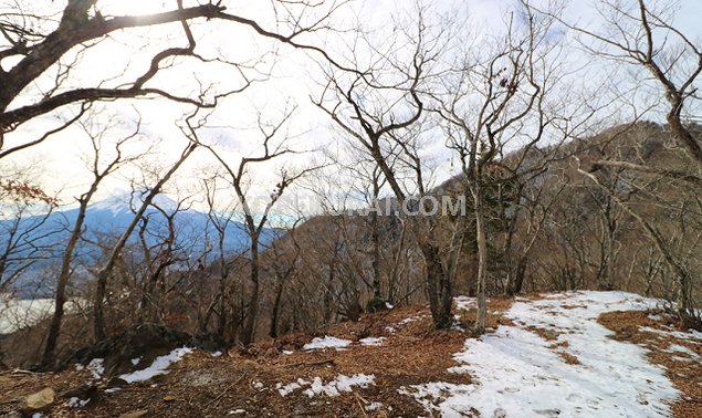 御坂峠～黒岳 登山道