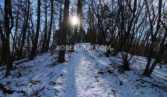 黒岳 雪山