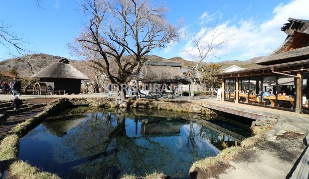 travelhakone