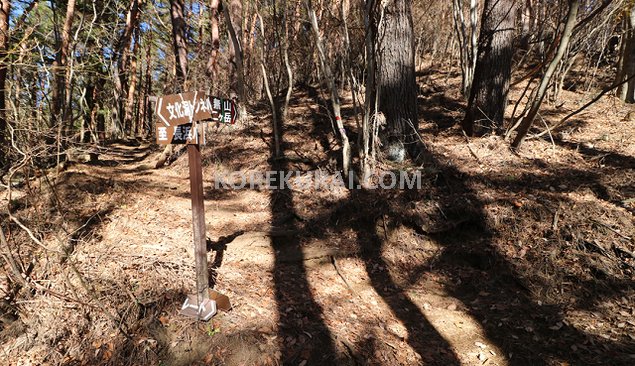 毛無山登山道 長浜ルート分岐