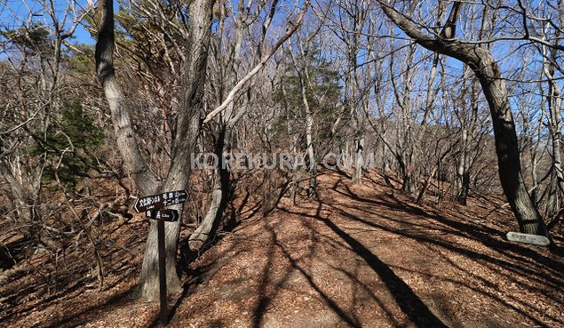 毛無山登山道 長浜分岐