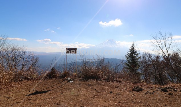 毛無山頂上