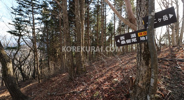 十二ヶ岳登山道 富士山