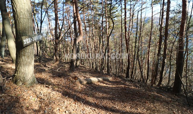 十二ヶ岳登山道 富士山