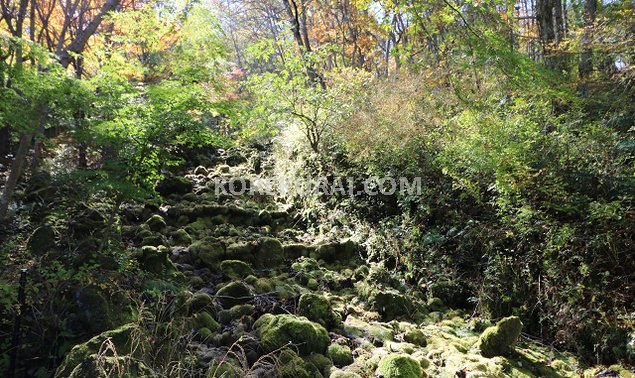 花の都公園 明神の滝 展望台