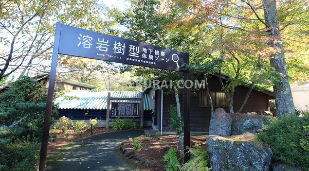 花の都公園 溶岩樹型 地下観察体験ゾーン