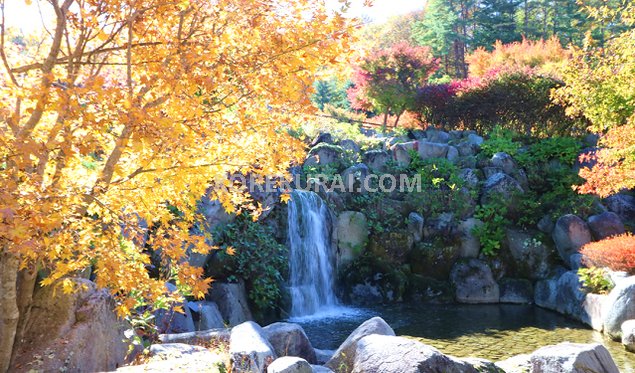 花の都公園 清流