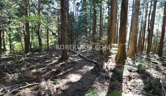 大平山 登山道