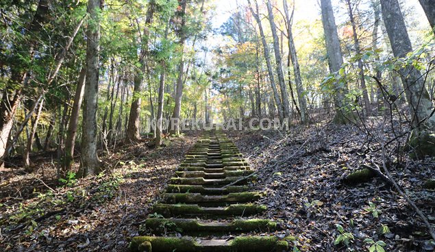 大平山 登山道