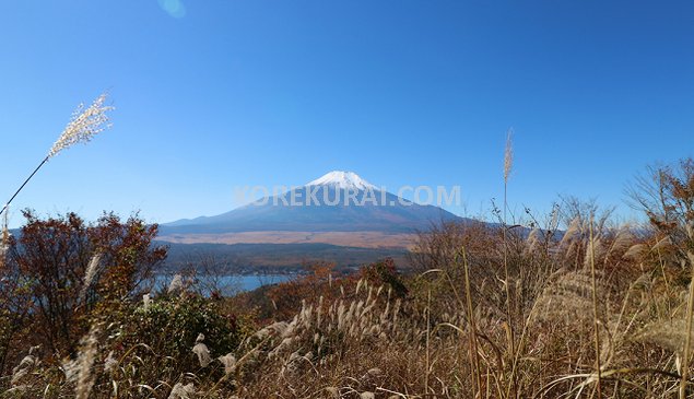 長池山 山頂