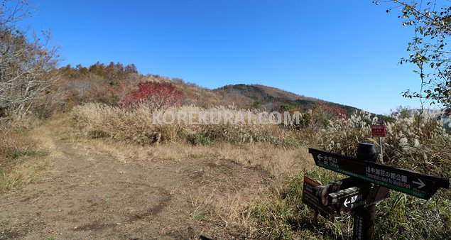 長池山～飯盛山