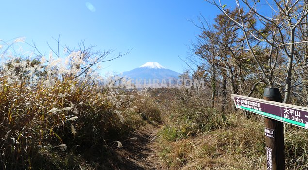 飯盛山 山頂