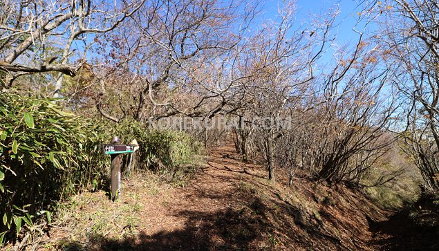 大平山～平尾山 登山道