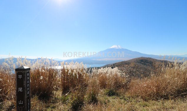 平尾山 山頂