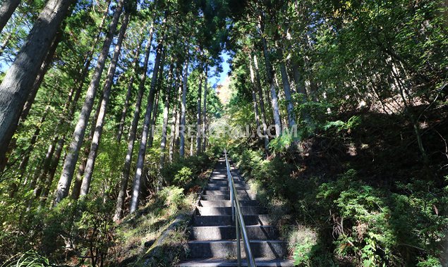 石割山ハイキングコースの階段