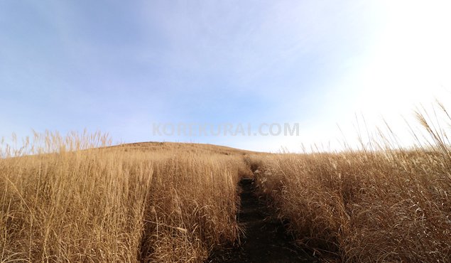 山中湖 パノラマ台～明神山登山道