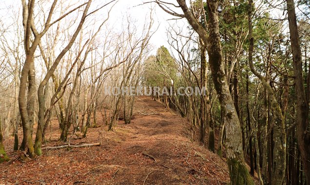 明神山～高指山 登山道