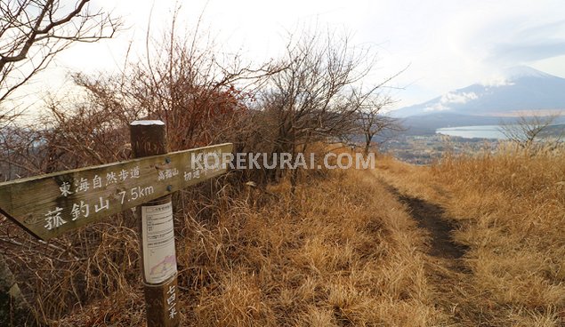 高指山 山頂 標高