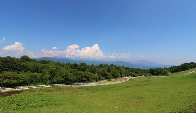 まきば公園