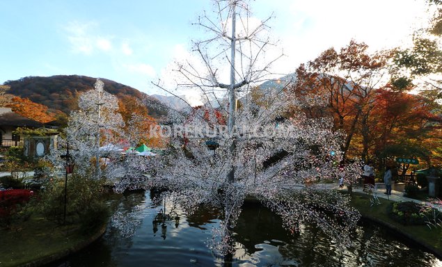 箱根ガラスの森美術館 ツリー 夕方