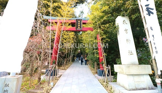 travelhakone